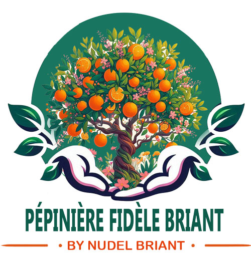 logo pepinière fidele briant